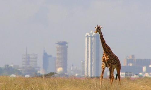 Nairobi