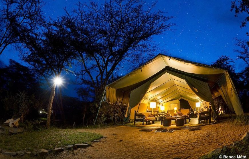 Porini Mara Camp
