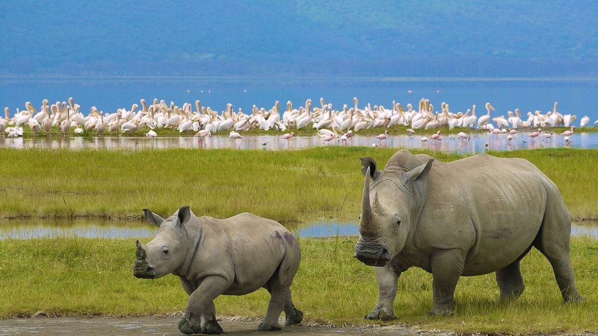 Nakuru
