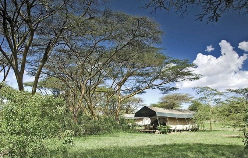 Porini Mara Camp